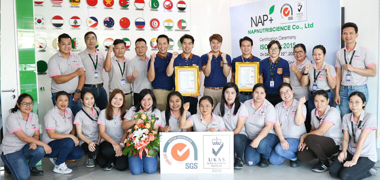 NAP is certified with ISO standards for our best quality of products by SGS