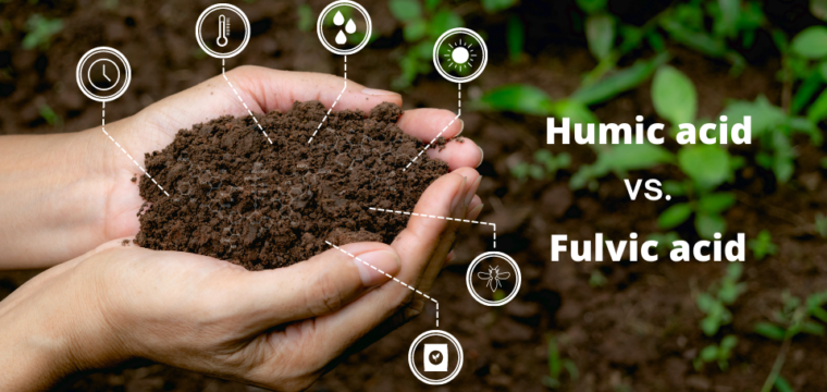 Humic acid vs. Fulvic acid
